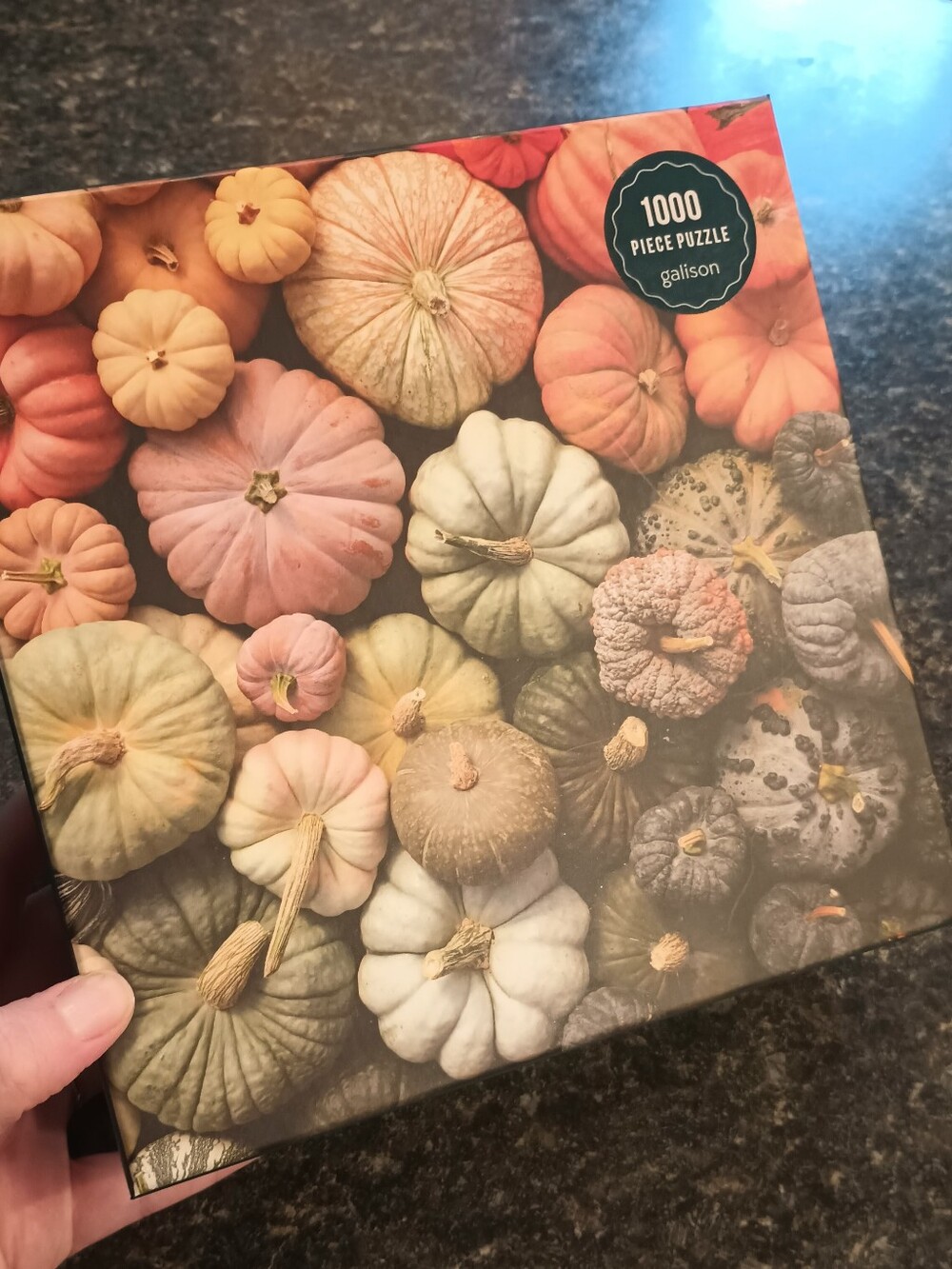 1000-Piece Autumn Pumpkins Puzzle